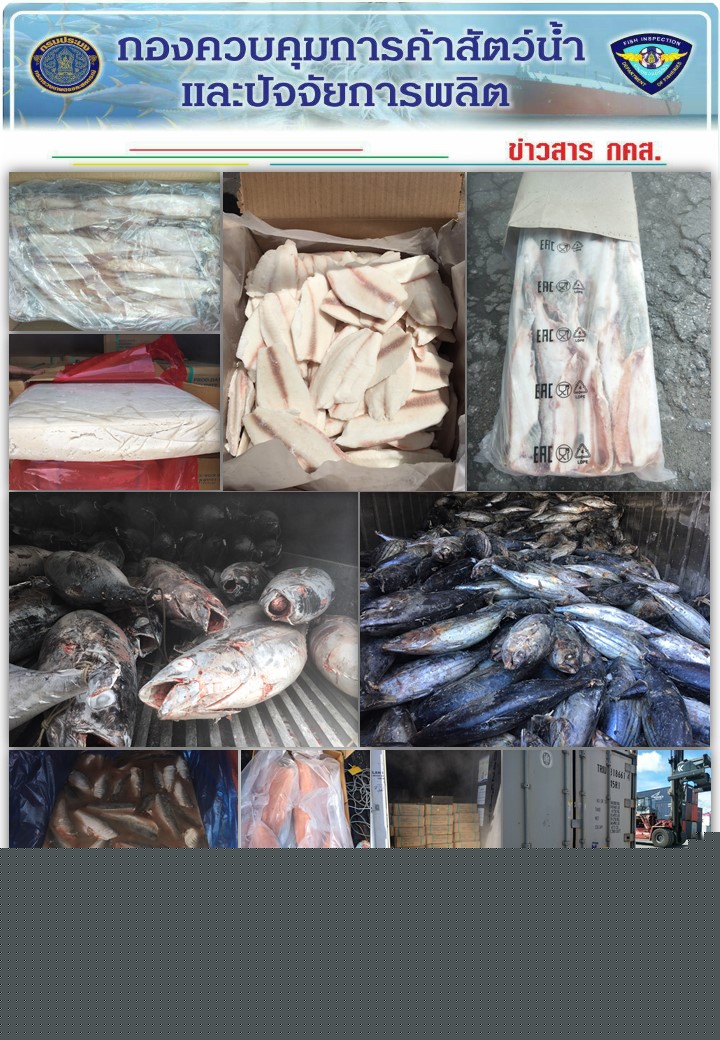 เจ้าหน้าที่ศูนย์บริหารจัดการด่านตรวจสัตว์น้ำเขต 3 (สงขลา) สังกัดกองควบคุมการค้าสัตว์น้ำและปัจจัยการผลิต ตรวจสอบการนำเข้าสินค้าสัตว์น้ำประเภทตู้คอนเทนเนอร์ ณ จุดตรวจปล่อยท่าเรือน้ำลึกสงขลา..คลิก