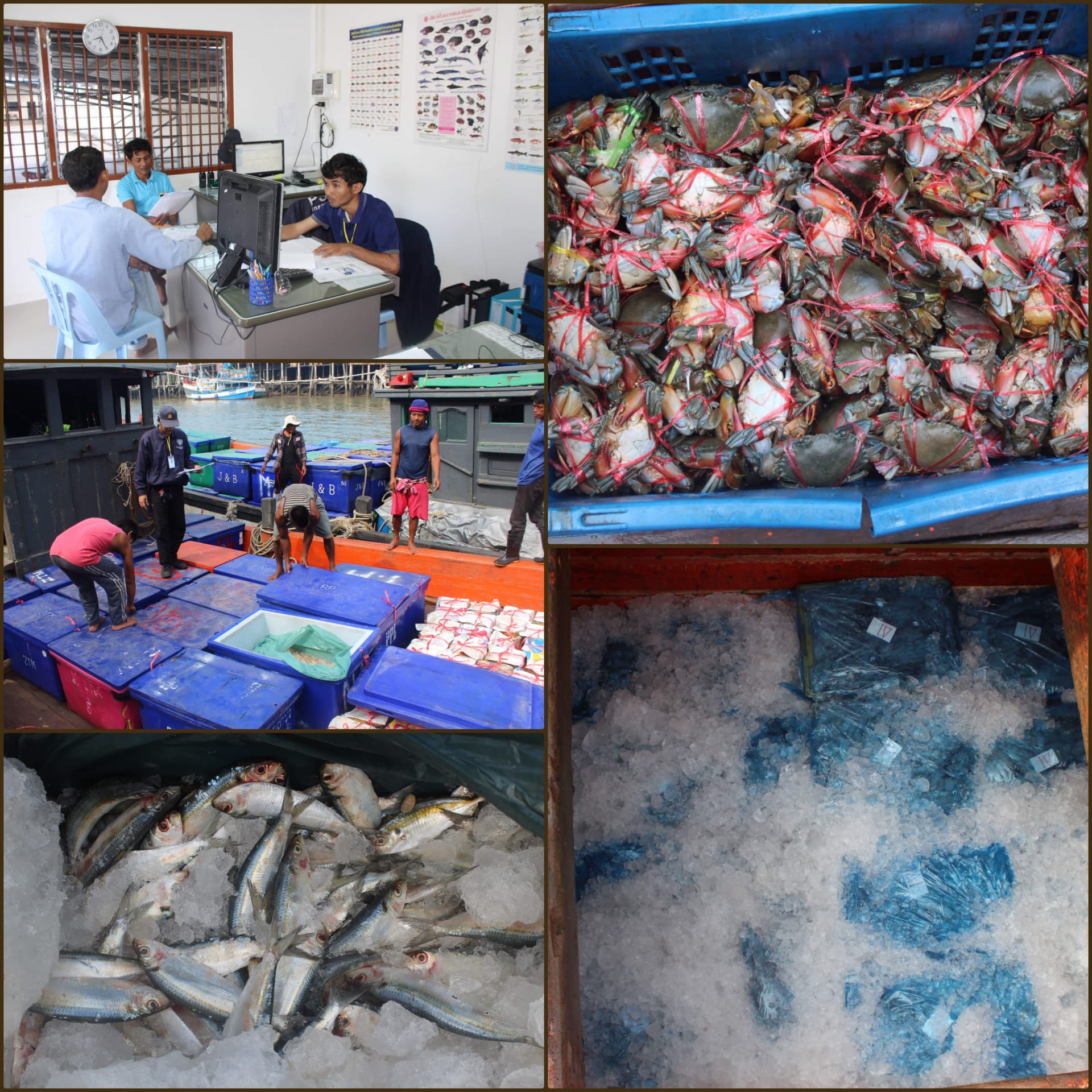 ตรวจสอบเรือและสินค้านำเข้าจากประเทศ MYANMAR