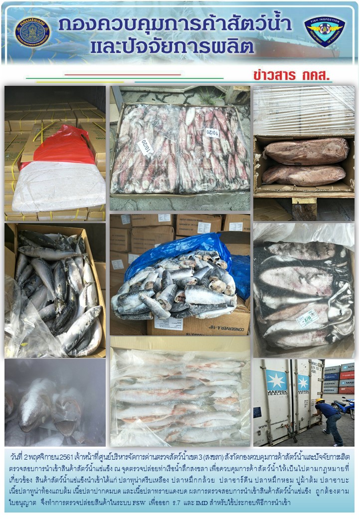 เจ้าหน้าที่ศูนย์บริหารจัดการด่านตรวจสัตว์น้ำเขต 3 (สงขลา) สังกัดกองควบคุมการค้าสัตว์น้ำและปัจจัยการผลิต ตรวจสอบการนำเข้าสินค้าสัตว์น้ำประเภทตู้คอนเทนเนอร์ ณ จุดตรวจปล่อยท่าเรือน้ำลึกสงขลา..คลิก
