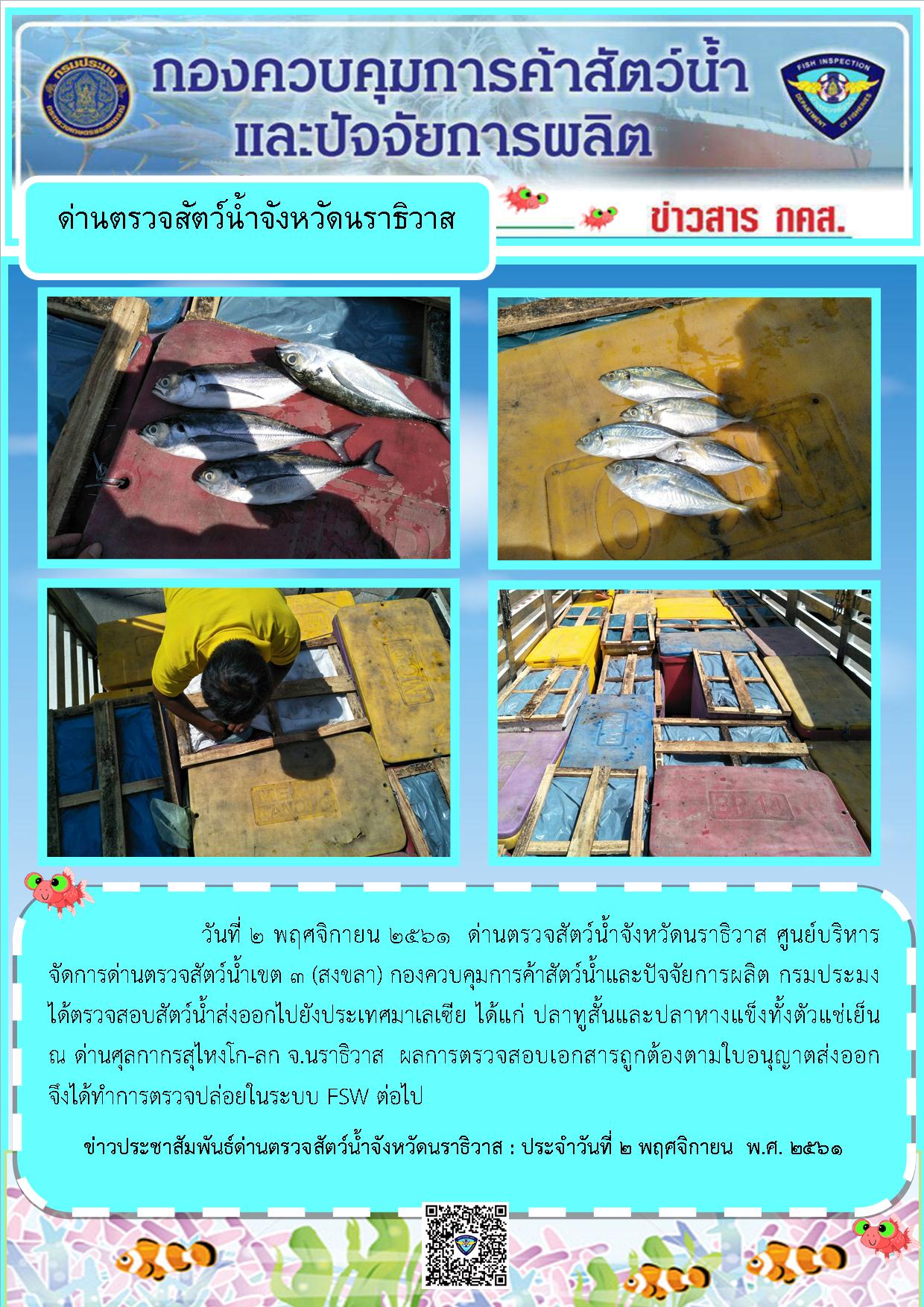 ประชาสัมพันธ์ประจำวันที่ 2 พฤศจิกายน 2561..คลิก