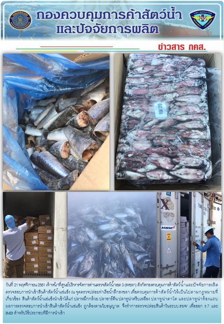 เจ้าหน้าที่ศูนย์บริหารจัดการด่านตรวจสัตว์น้ำเขต 3 (สงขลา) สังกัดกองควบคุมการค้าสัตว์น้ำและปัจจัยการผลิต ตรวจสอบการนำเข้าสินค้าสัตว์น้ำประเภทตู้คอนเทนเนอร์ ณ จุดตรวจปล่อยท่าเรือน้ำลึกสงขลา..คลิก