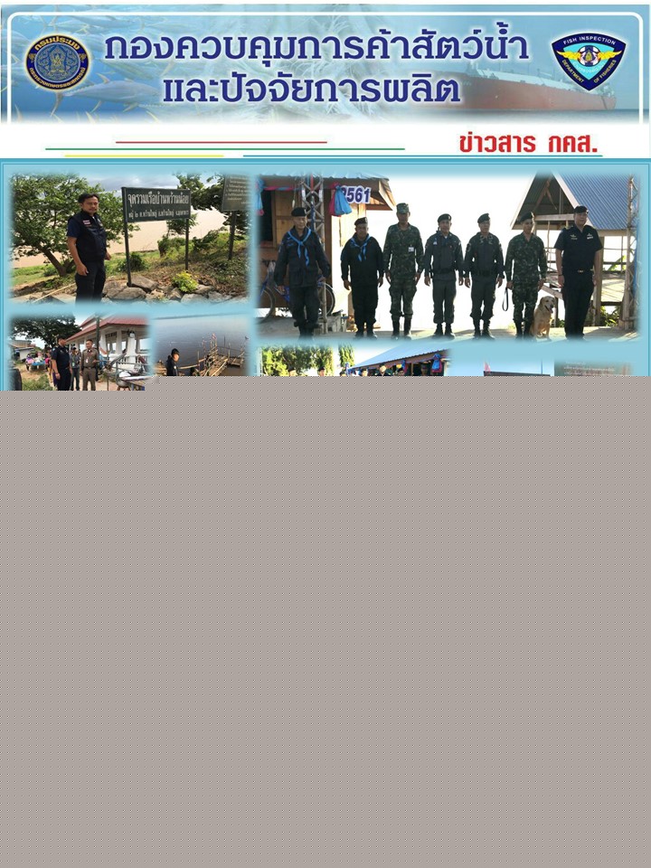 ข่าวประชาสัมพันธ์ด่านตรวจสัตว์น้ำจังหวัดมุกดาหาร วันที่ 22 พฤศจิกายน 2561..คลิก
