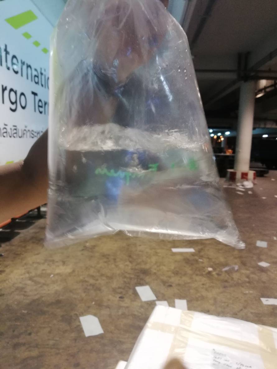 ด่านตรวจสัตว์นำ้ท่าอากาศยานดอนเมือง ตรวจสอบสินค้าสัตว์นำ้ส่งออก..คลิก