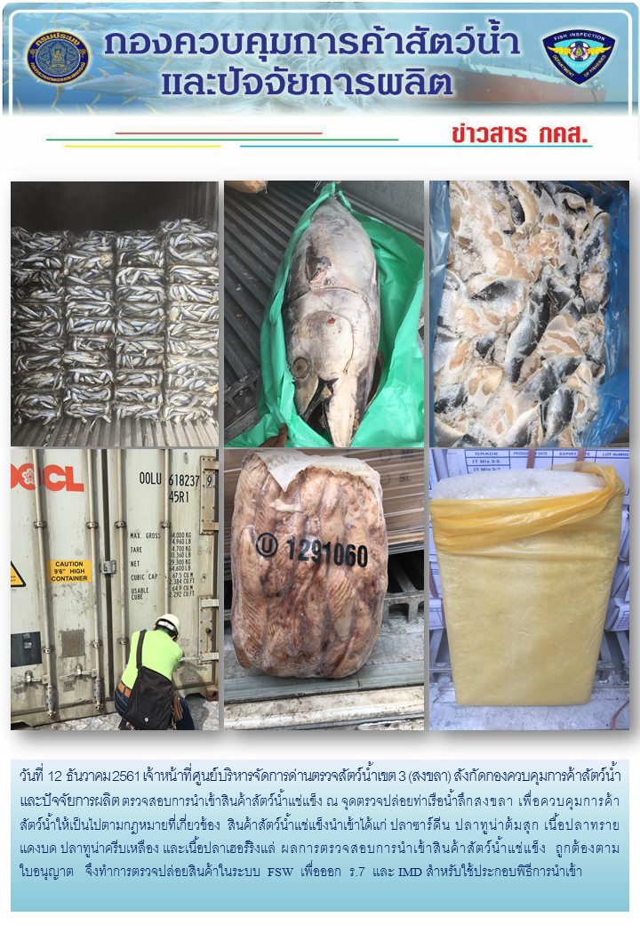 เจ้าหน้าที่ศูนย์บริหารจัดการด่านตรวจสัตว์น้ำเขต 3 (สงขลา) สังกัดกองควบคุมการค้าสัตว์น้ำและปัจจัยการผลิต ตรวจสอบการนำเข้าสินค้าสัตว์น้ำประเภทตู้คอนเทนเนอร์ ณ จุดตรวจปล่อยท่าเรือน้ำลึกสงขลา..คลิก
