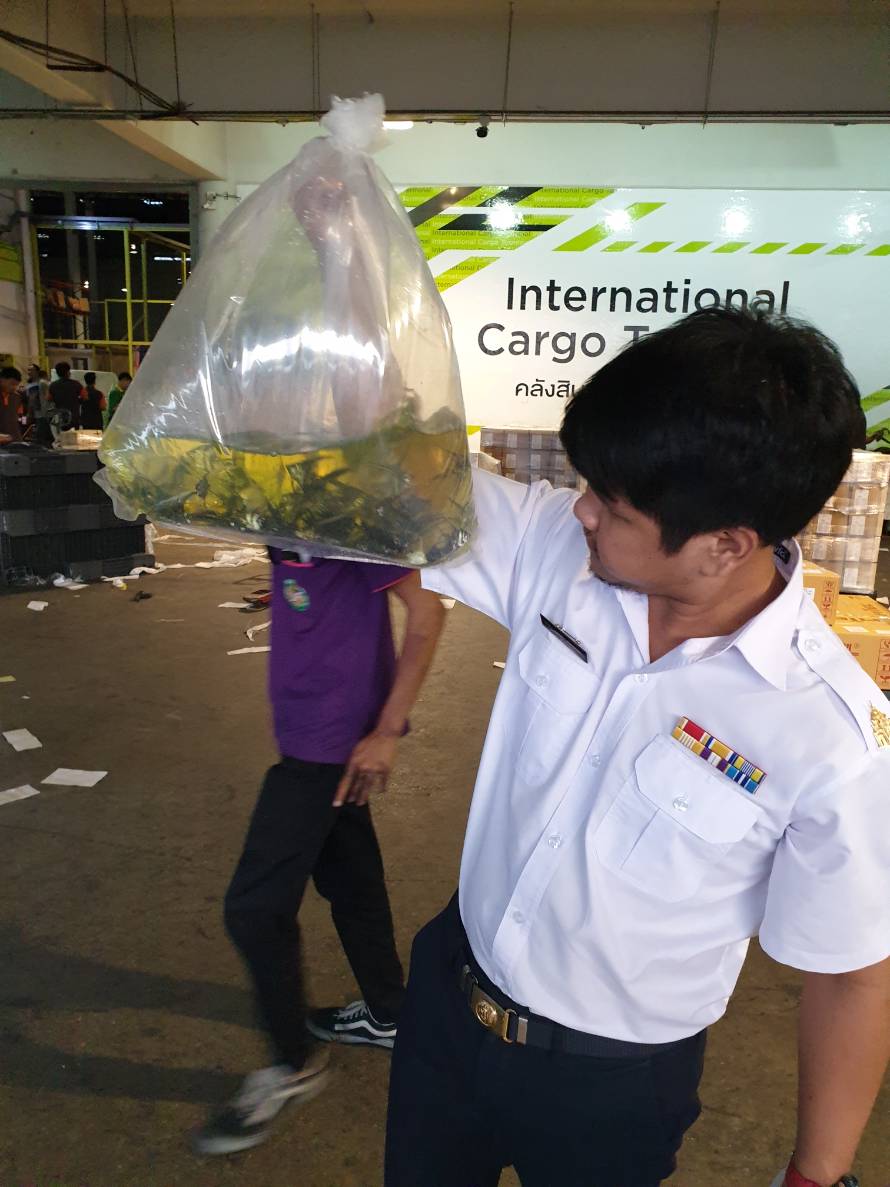 ตรวจสอบสินค้าสัตว์น้ำส่งออก..คลิก