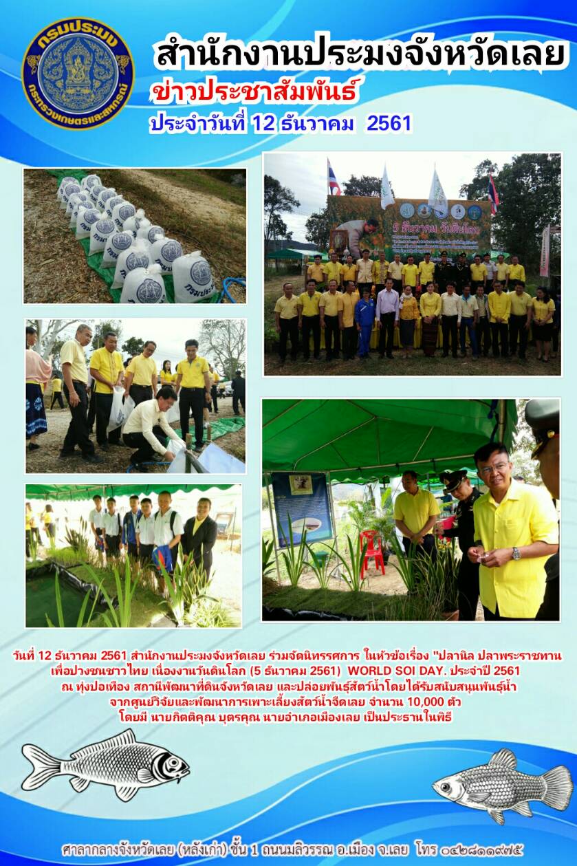 ปลานิล ปลาพระราชทาน เพื่อปวงชนชาวไทย เนื่องในงานวันดินโลก (5 ธันวาคม 2561) WORLD SOI DAY ประจำปี 2561
