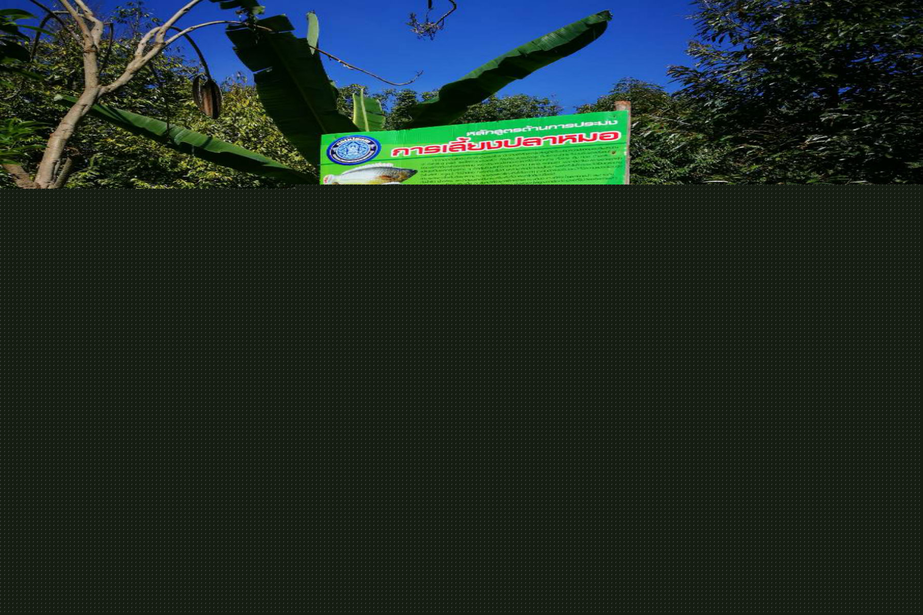 ประมงอำเภอภูสิงห์ ลงพื้นที่เพื่อดำเนินตามโครงการที่ได้รับมอบหมาย..คลิก