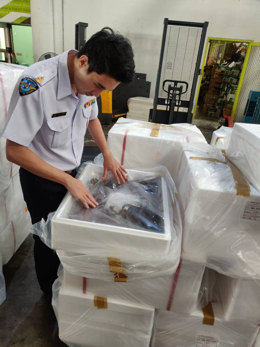 ตรวจสอบสินค้าสัตว์น้ำส่งออก..คลิก