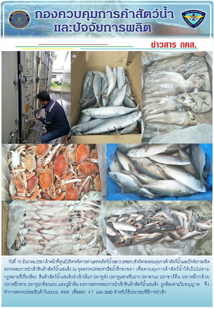 เจ้าหน้าที่ศูนย์บริหารจัดการด่านตรวจสัตว์น้ำเขต 3 (สงขลา) สังกัดกองควบคุมการค้าสัตว์น้ำและปัจจัยการผลิต ตรวจสอบการนำเข้าสินค้าสัตว์น้ำประเภทตู้คอนเทนเนอร์ ณ จุดตรวจปล่อยท่าเรือน้ำลึกสงขลา..คลิก