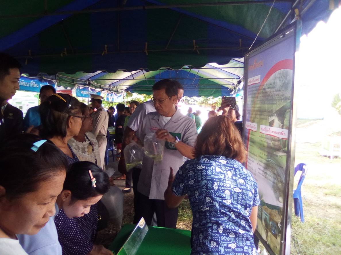 ร่วมจัดกิจกรรม 