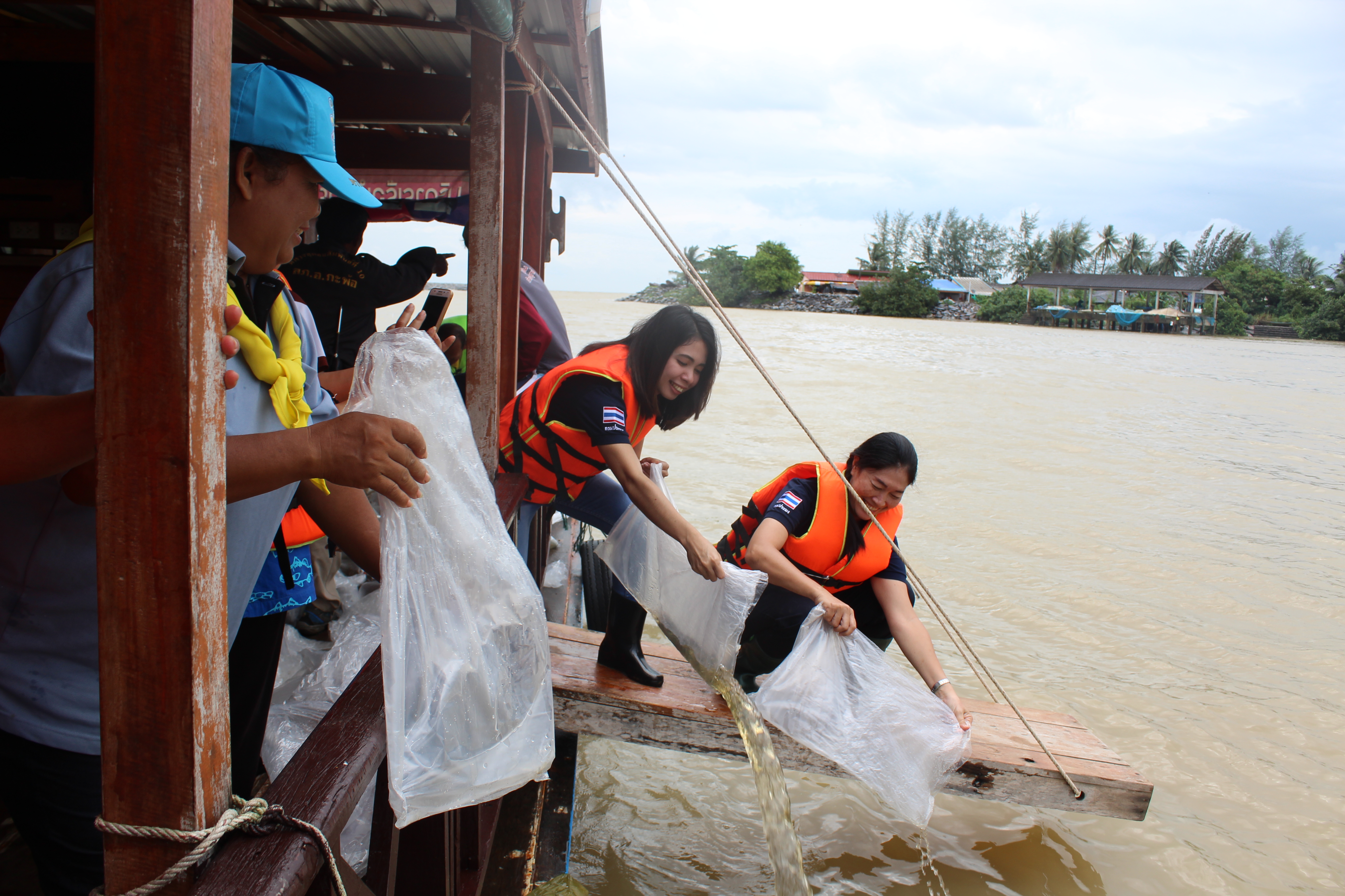 พิธีปล่อยพันธุ์สัตว์น้ำ โครงการเพิ่มทรัพยากรสัตว์น้ำสู่แหล่งน้ำธรรมชาติและอ่าวไทย..คลิก