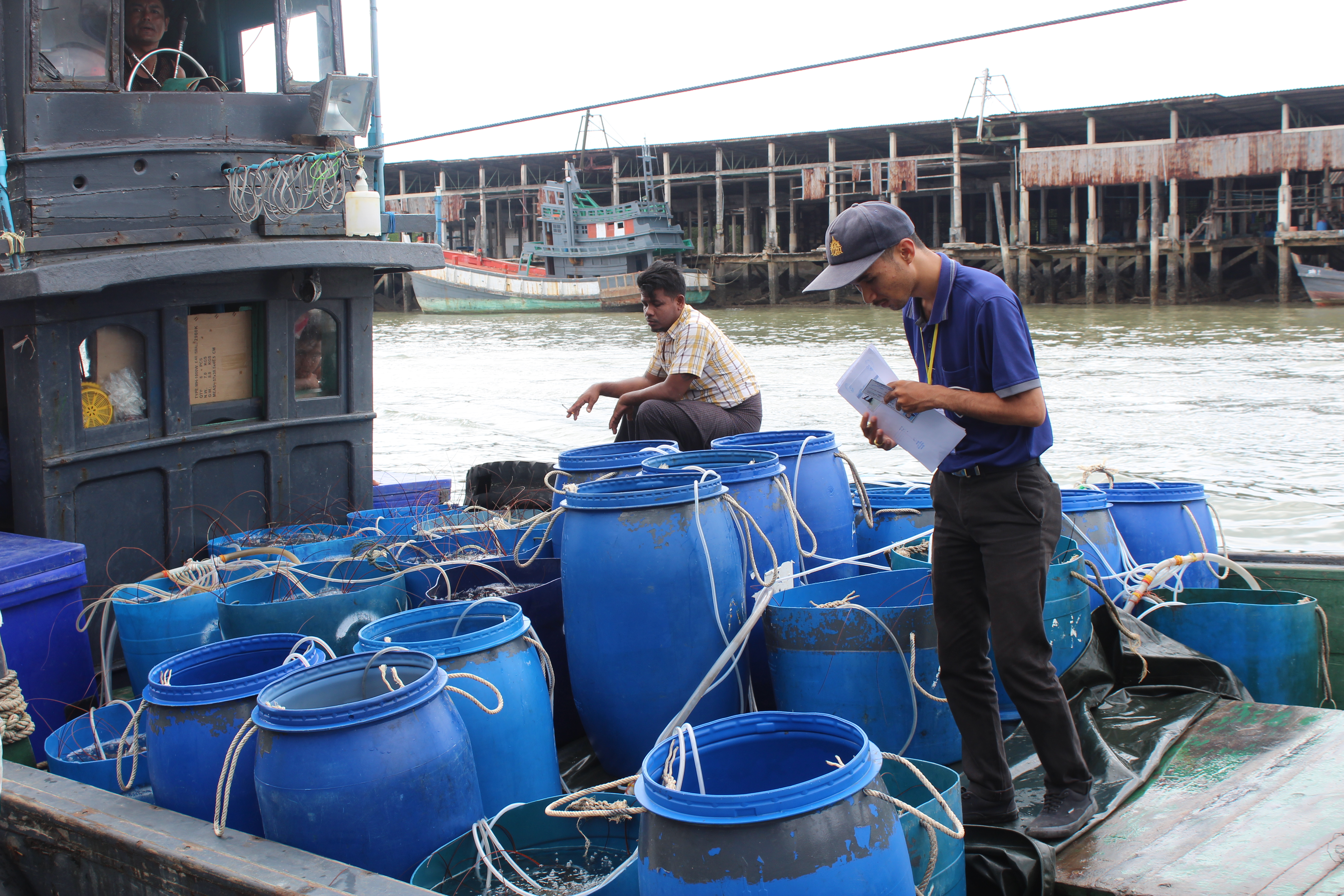 ตรวจสอบเรือและสินค้านำเข้าจากประเทศ MYANMAR