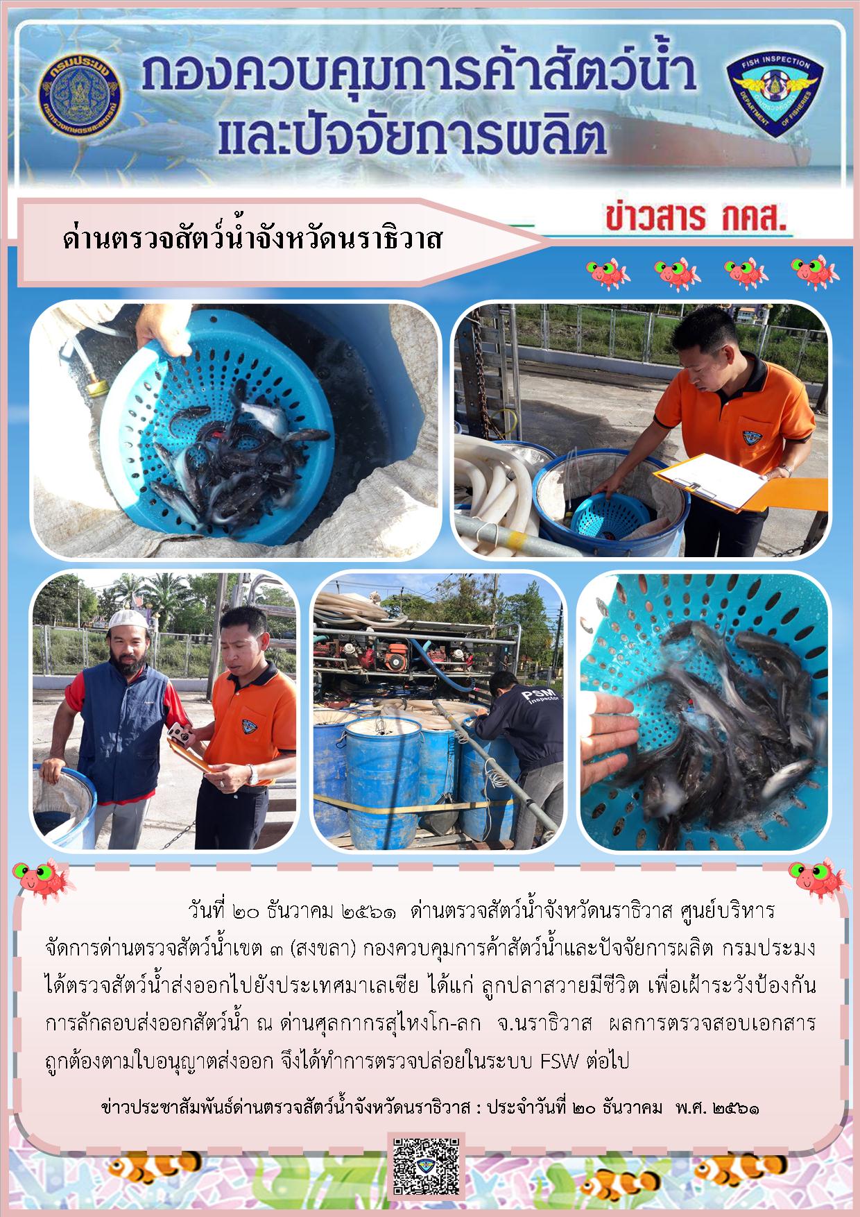 ประชาสัมพันธ์ประจำวันที่ 20 ธันวาคม 2561..คลิก