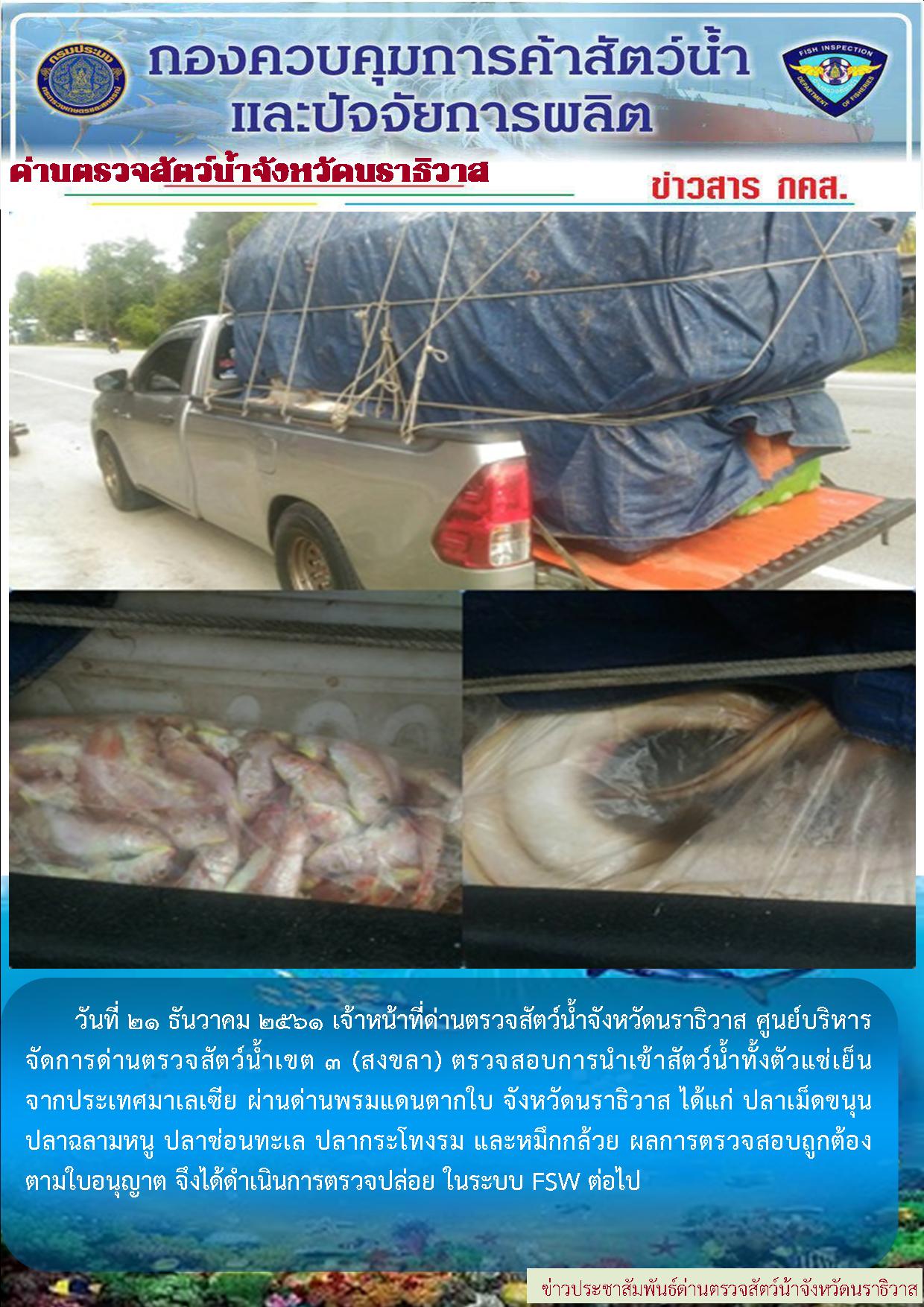 ประชาสัมพันธ์ ประจำวันที่ 21 ธันวาคม 2561..คลิก