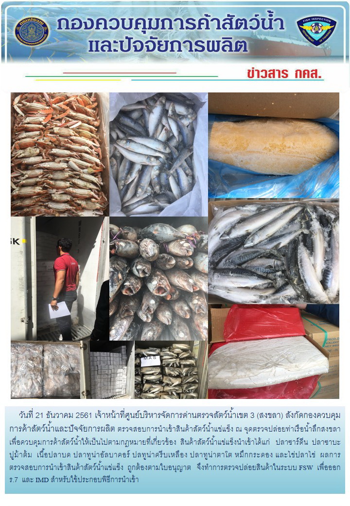 เจ้าหน้าที่ศูนย์บริหารจัดการด่านตรวจสัตว์น้ำเขต 3 (สงขลา) สังกัดกองควบคุมการค้าสัตว์น้ำและปัจจัยการผลิต ตรวจสอบการนำเข้าสินค้าสัตว์น้ำประเภทตู้คอนเทนเนอร์ ณ จุดตรวจปล่อยท่าเรือน้ำลึกสงขลา..คลิก