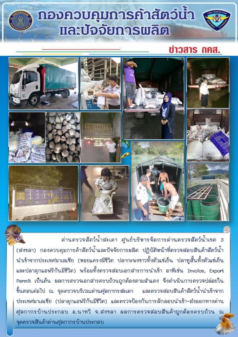ข่าวสาร กคส. ประจำวันศุกร์ที่ 21 ธันวาคม 2561..คลิก