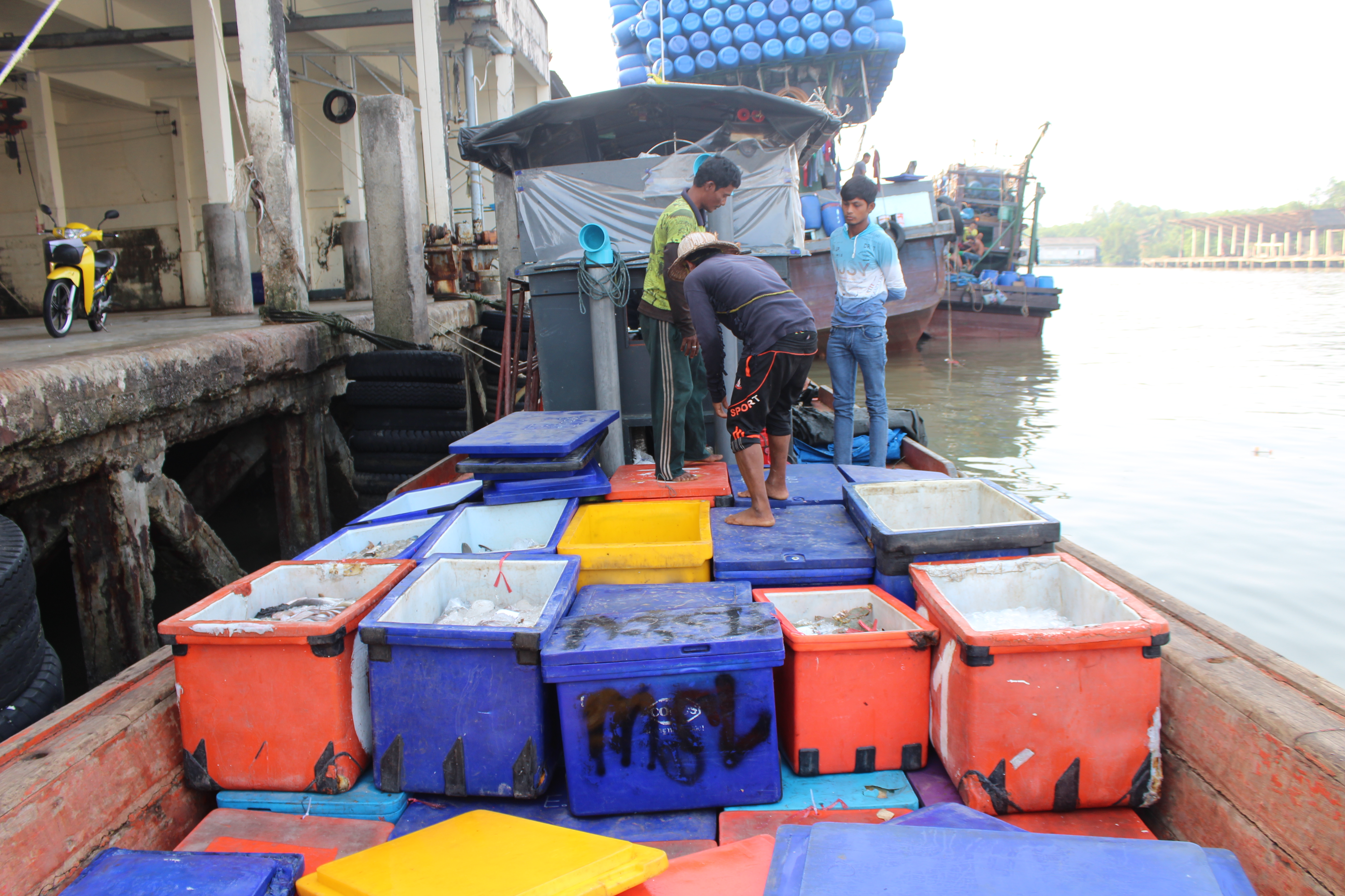 ตรวจสอบเรือและสินค้านำเข้าจากประเทศ MYANMAR