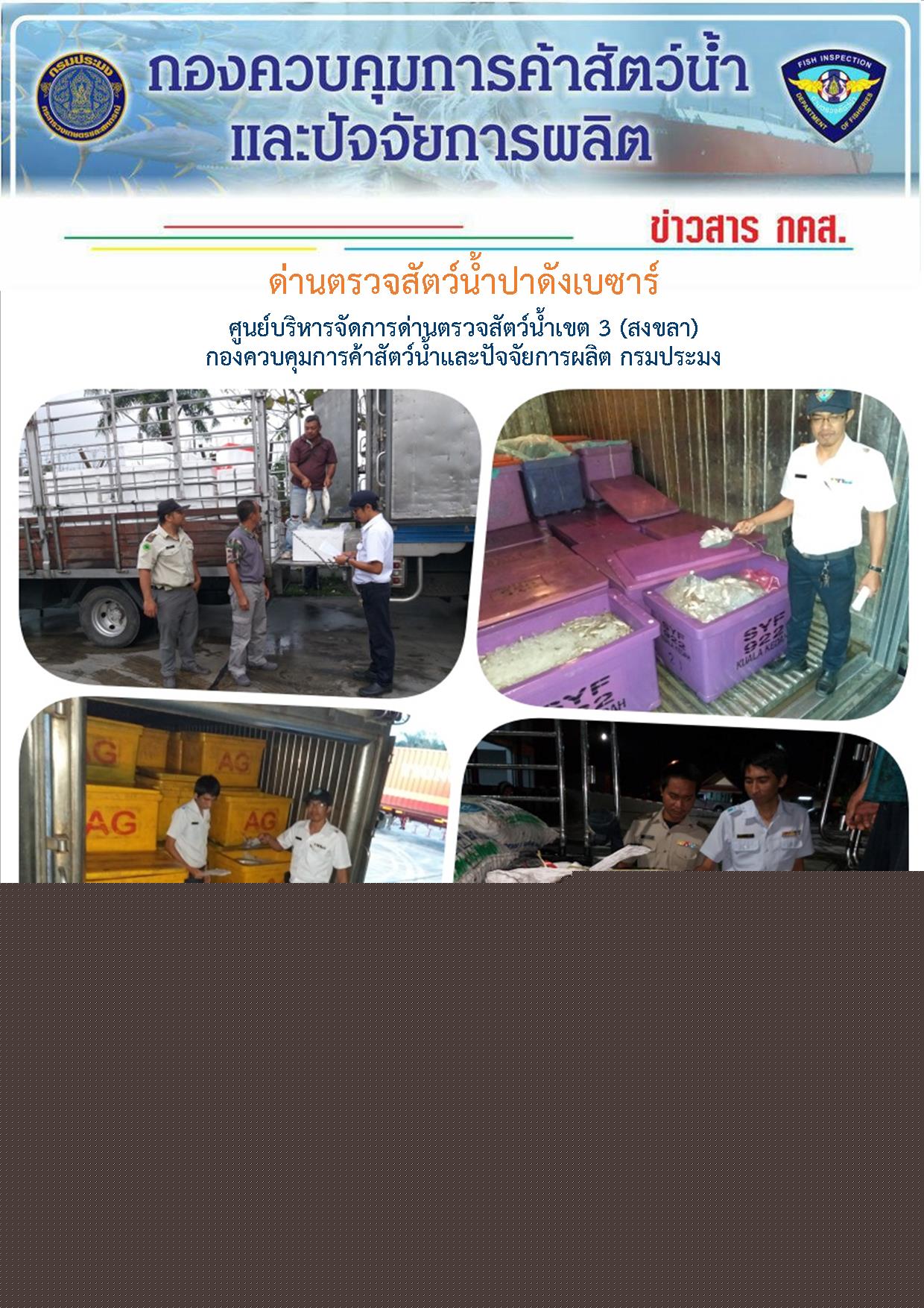 ด่านตรวจสัตว์น้ำปาดังเบซาร์ตรวจสอบสัตว์น้ำนำเข้า ประจำวันที่ 24 ธันวาคม 2561..คลิก