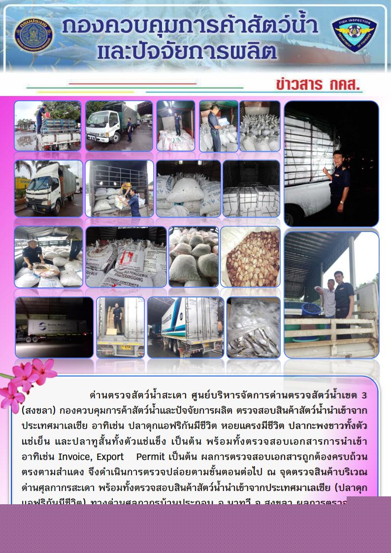 ข่าวสาร กคส. ประจำวันอังคารที่ 25 ธันวาคม 2561..คลิก