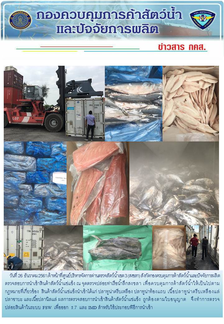 เจ้าหน้าที่ศูนย์บริหารจัดการด่านตรวจสัตว์น้ำเขต 3 (สงขลา) สังกัดกองควบคุมการค้าสัตว์น้ำและปัจจัยการผลิต ตรวจสอบการนำเข้าสินค้าสัตว์น้ำประเภทตู้คอนเทนเนอร์ ณ จุดตรวจปล่อยท่าเรือน้ำลึกสงขลา..คลิก