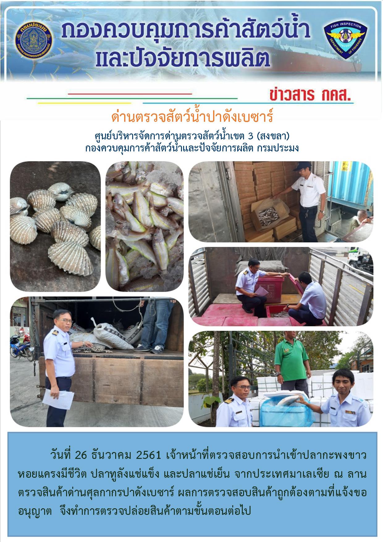 ด่านตรวจสัตว์น้ำปาดังเบซาร์ตรวจสอบสัตว์น้ำนำเข้า-ส่งออก ประจำวันที่ 26 ธันวาคม 2561..คลิก