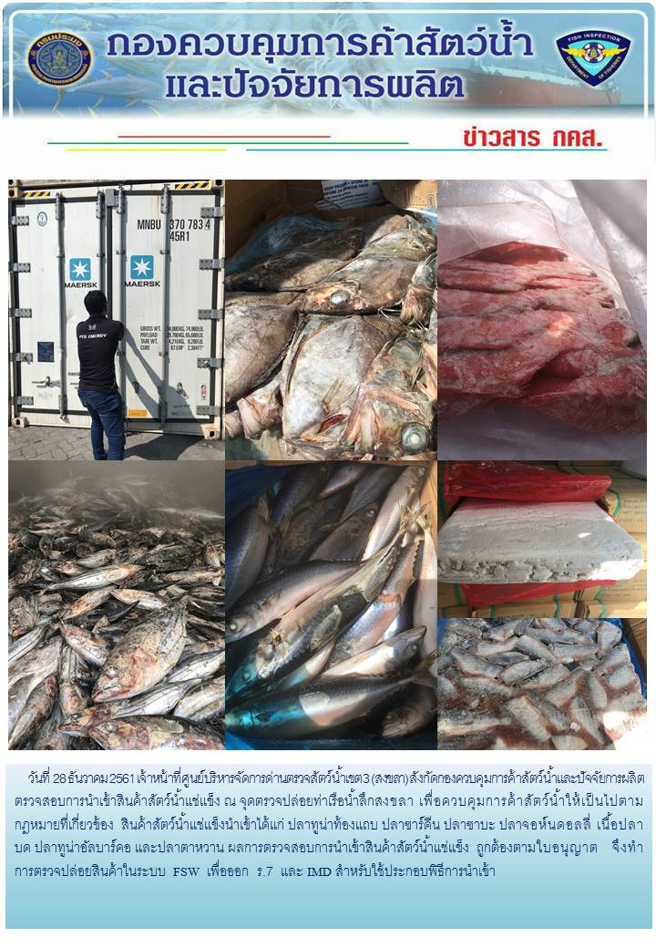 เจ้าหน้าที่ศูนย์บริหารจัดการด่านตรวจสัตว์น้ำเขต 3 (สงขลา) สังกัดกองควบคุมการค้าสัตว์น้ำและปัจจัยการผลิต ตรวจสอบการนำเข้าสินค้าสัตว์น้ำประเภทตู้คอนเทนเนอร์ ณ จุดตรวจปล่อยท่าเรือน้ำลึกสงขลา..คลิก