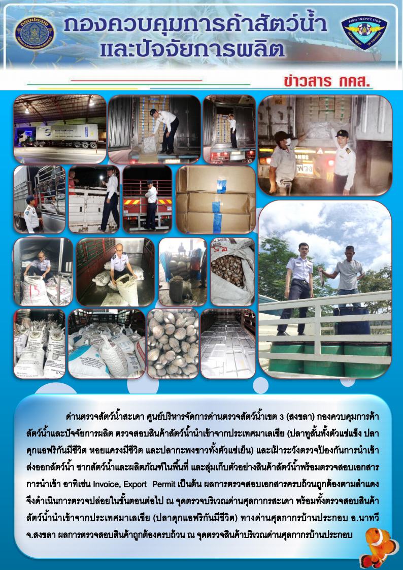 ข่าวสาร กคส. ประจำวันศุกร์ที่ 28 ธันวาคม 2561..คลิก