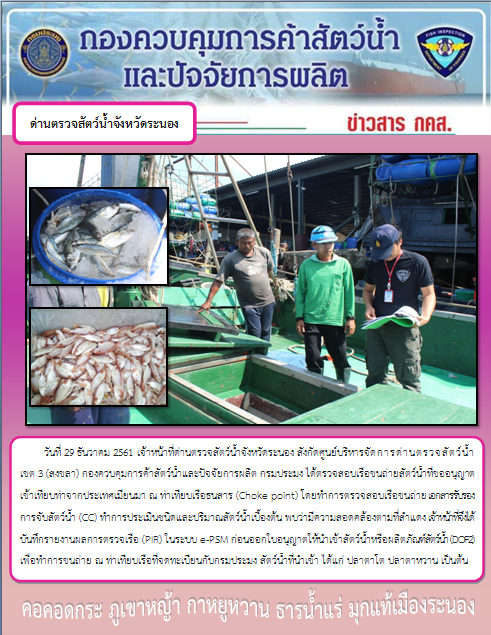 ตรวจสอบเรือและสินค้านำเข้าจากประเทศ MYANMAR