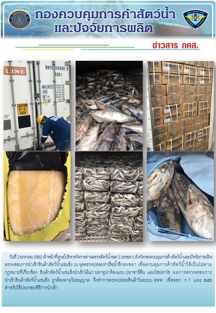 เจ้าหน้าที่ศูนย์บริหารจัดการด่านตรวจสัตว์น้ำเขต 3 (สงขลา) สังกัดกองควบคุมการค้าสัตว์น้ำและปัจจัยการผลิต ตรวจสอบการนำเข้าสินค้าสัตว์น้ำประเภทตู้คอนเทนเนอร์ ณ จุดตรวจปล่อยท่าเรือน้ำลึกสงขลา..คลิก