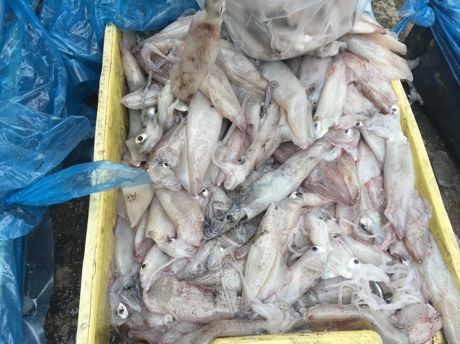 สินค้านำเข้าจากประเทศเมียนมา