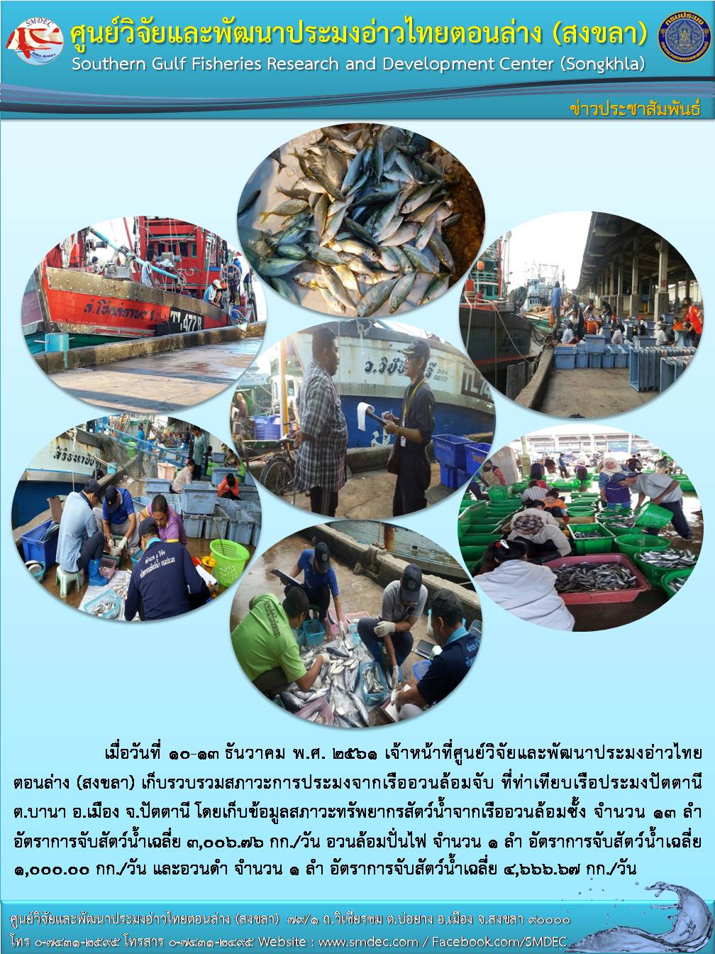 ข่าวประชาสัมพันธ์เดือนธันวาคม2561อวนล้อมจับ..คลิก