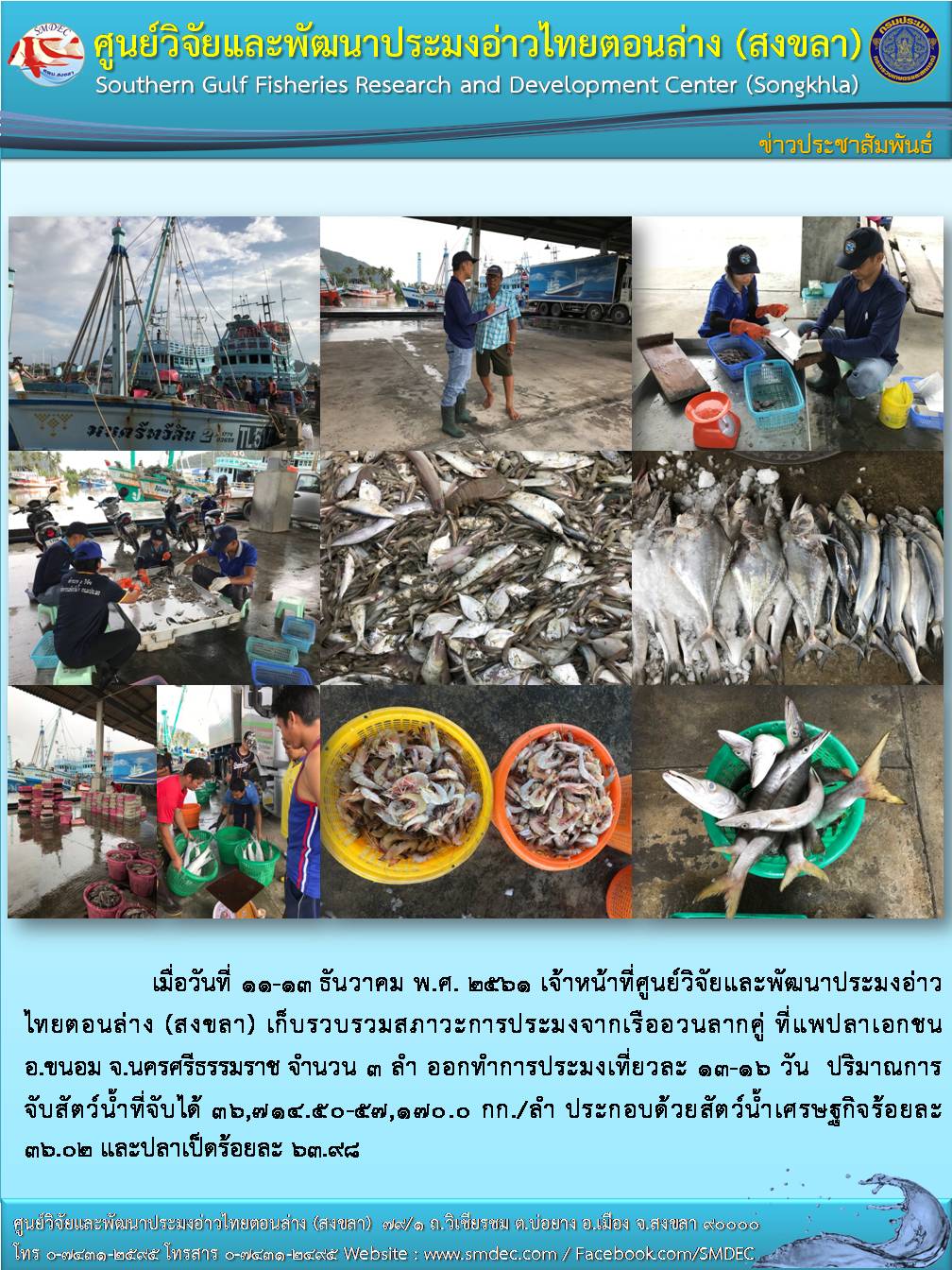 ข่าวประชาสัมพันธ์เดือนธันวาคม2561อวนลากคู่..คลิก