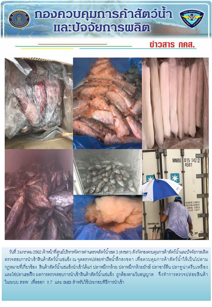 เจ้าหน้าที่ศูนย์บริหารจัดการด่านตรวจสัตว์น้ำเขต 3 (สงขลา) สังกัดกองควบคุมการค้าสัตว์น้ำและปัจจัยการผลิต ตรวจสอบการนำเข้าสินค้าสัตว์น้ำประเภทตู้คอนเทนเนอร์ ณ จุดตรวจปล่อยท่าเรือน้ำลึกสงขลา..คลิก