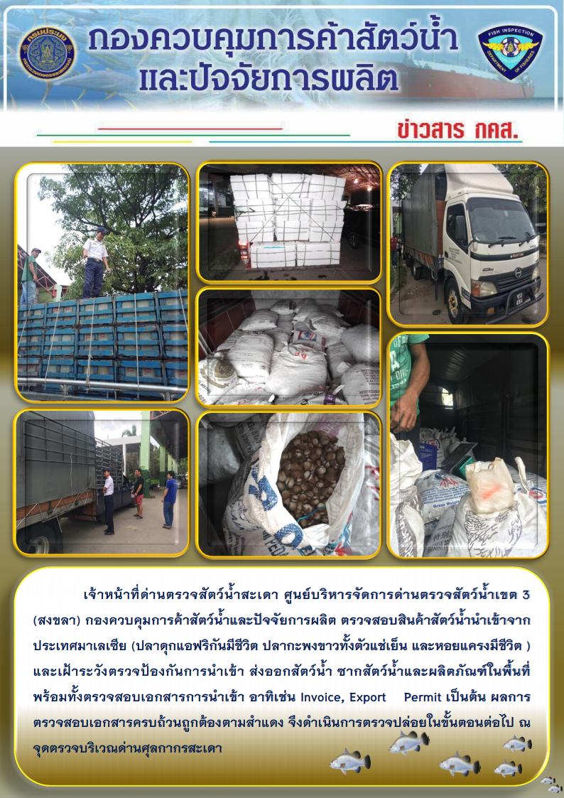 ข่าวสาร กคส. ประจำวันพฤหัสบดีที่ 3 ธันวาคม 2561..คลิก