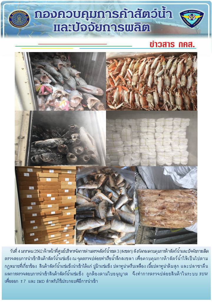 เจ้าหน้าที่ศูนย์บริหารจัดการด่านตรวจสัตว์น้ำเขต 3 (สงขลา) สังกัดกองควบคุมการค้าสัตว์น้ำและปัจจัยการผลิต ตรวจสอบการนำเข้าสินค้าสัตว์น้ำประเภทตู้คอนเทนเนอร์ ณ จุดตรวจปล่อยท่าเรือน้ำลึกสงขลา..คลิก