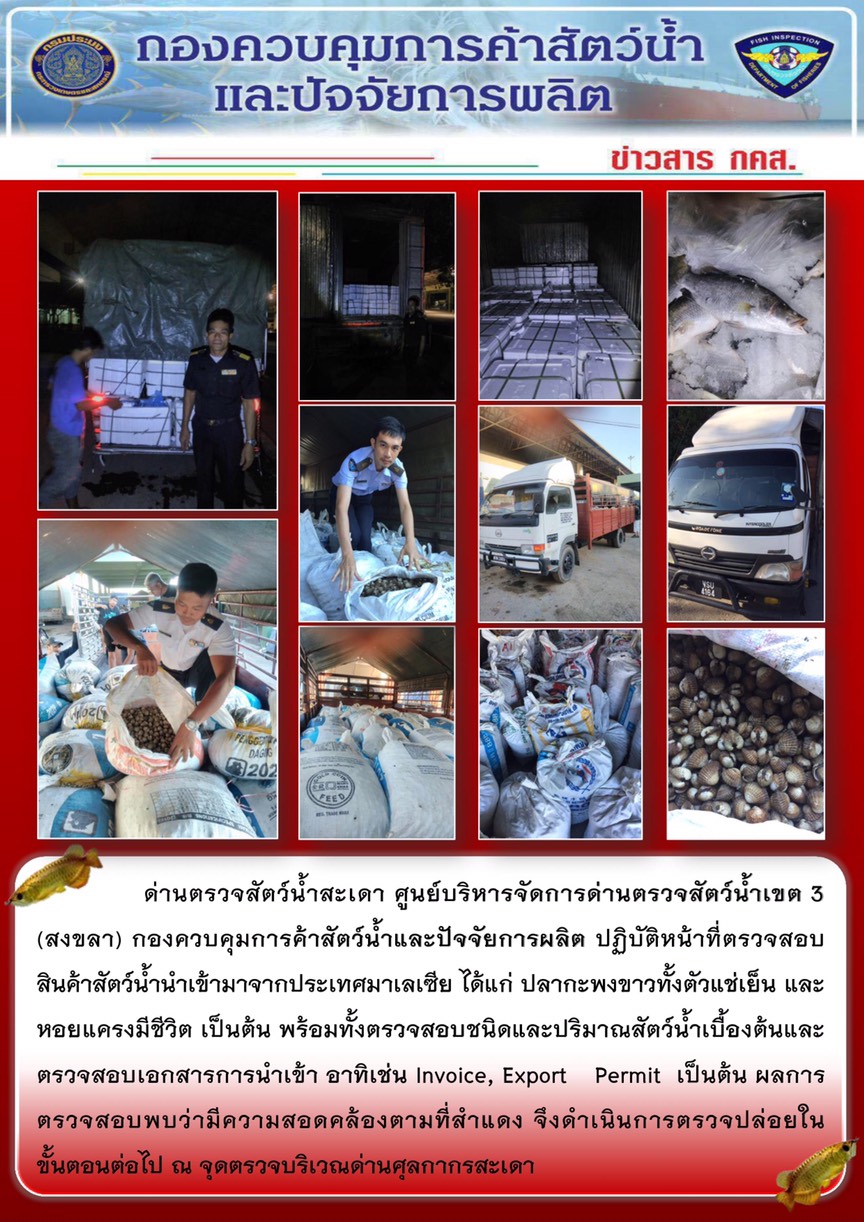 ข่าวสาร กคส. ประจำวันอาทิตย์ที่ 6 มกราคม 2562..คลิก
