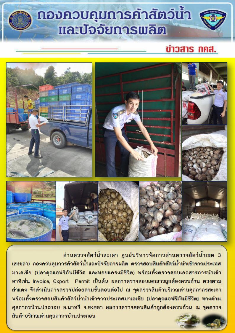 ข่าวสาร กคส. ประจำวันจันทร์ที่ 7 มกราคม 2562..คลิก