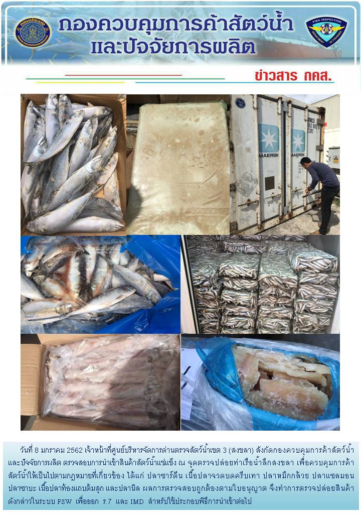 เจ้าหน้าที่ศูนย์บริหารจัดการด่านตรวจสัตว์น้ำเขต 3 (สงขลา) สังกัดกองควบคุมการค้าสัตว์น้ำและปัจจัยการผลิต ตรวจสอบการนำเข้าสินค้าสัตว์น้ำประเภทตู้คอนเทนเนอร์ ณ จุดตรวจปล่อยท่าเรือน้ำลึกสงขลา..คลิก