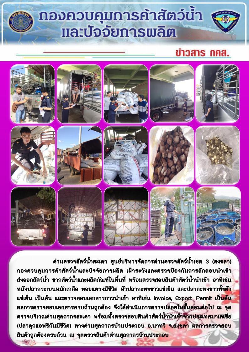 ข่าวสาร กคส. ประจำวันอังคารที่ 8 มกราคม 2562..คลิก