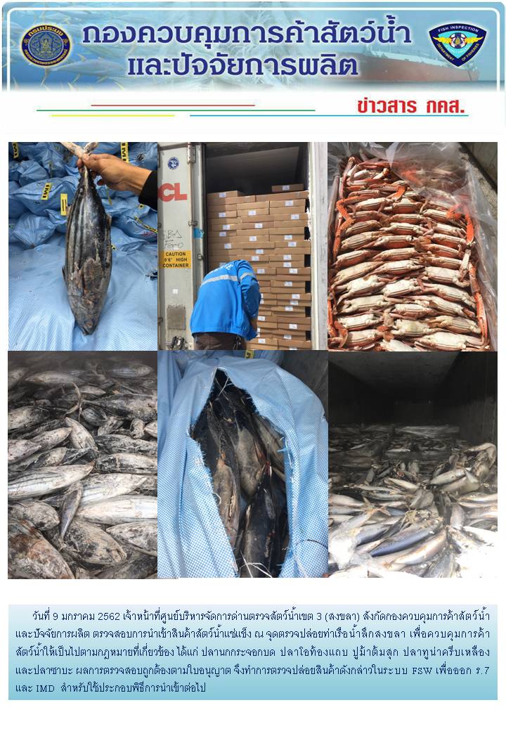 เจ้าหน้าที่ศูนย์บริหารจัดการด่านตรวจสัตว์น้ำเขต 3 (สงขลา) สังกัดกองควบคุมการค้าสัตว์น้ำและปัจจัยการผลิต ตรวจสอบการนำเข้าสินค้าสัตว์น้ำประเภทตู้คอนเทนเนอร์ ณ จุดตรวจปล่อยท่าเรือน้ำลึกสงขลา..คลิก