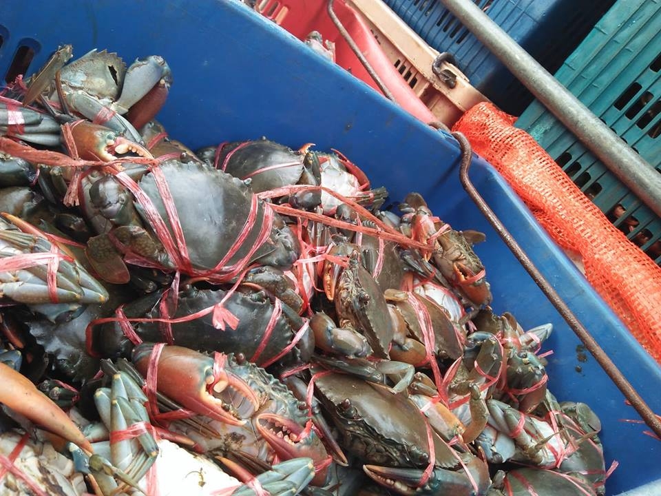 สินค้านำเข้าจากประเทศเมียนมา..คลิก