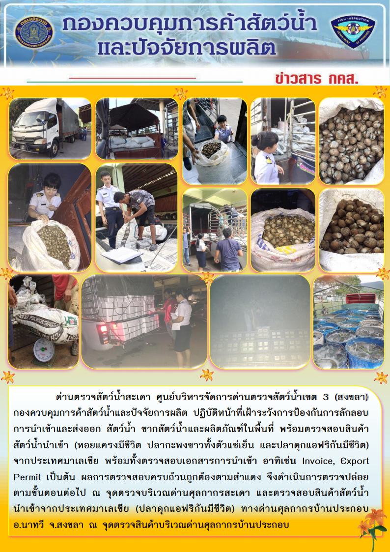 ข่าวสาร กคส. ประจำวันพฤหัสบดีที่ 10 มกราคม 2562..คลิก