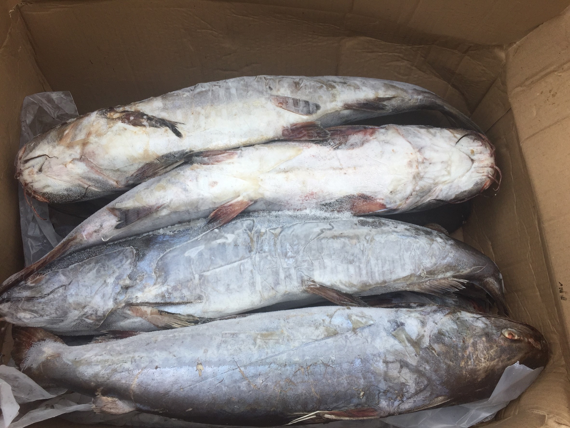 สินค้าส่งออกไปยังประเทศเมียนมา