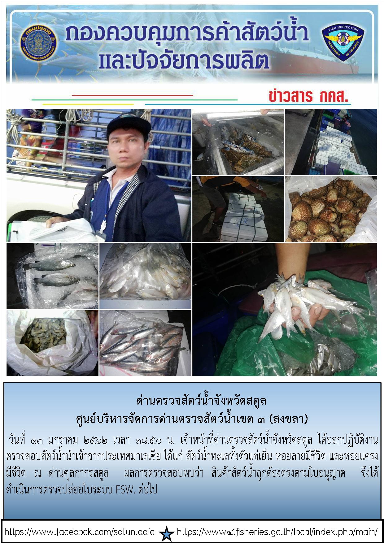 ประชาสัมพันธ์การปฏิบัติงานด่านตรวจสัตว์น้ำจังหวัดสตูล ประจำวันที่  13 มกราคม 2562..คลิก