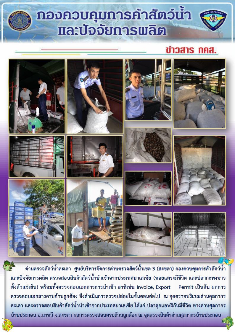 ข่าวสาร กคส. ประจำวันเสาร์ที่ 12 มกราคม 2562..คลิก