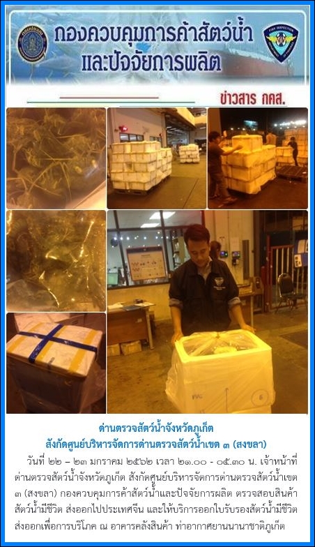 วันที่ 22 - 23 มกราคม 2562 เวลา 21.00 - 05.30 น. เจ้าหน้าที่ด่านตรวจสัตว์น้ำจังหวัดภูเก็ต สังกัดศูนย์บริหารจัดการด่านตรวจสัตว์น้ำเขต 3 (สงขลา) กองควบคุมการค้าสัตว์น้ำและปัจจัยการผลิต ตรวจสอบสินค้าสัตว์น้ำมีชีวิต ส่งออกไปประเทศจีน และให้บริการออกใบรับรองสัตว์น้ำมีชีวิตส่งออกเพื่อการบริโภค ณ อาคารคลังสินค้า ท่าอากาศยานนานาชาติภูเก็ต..คลิก