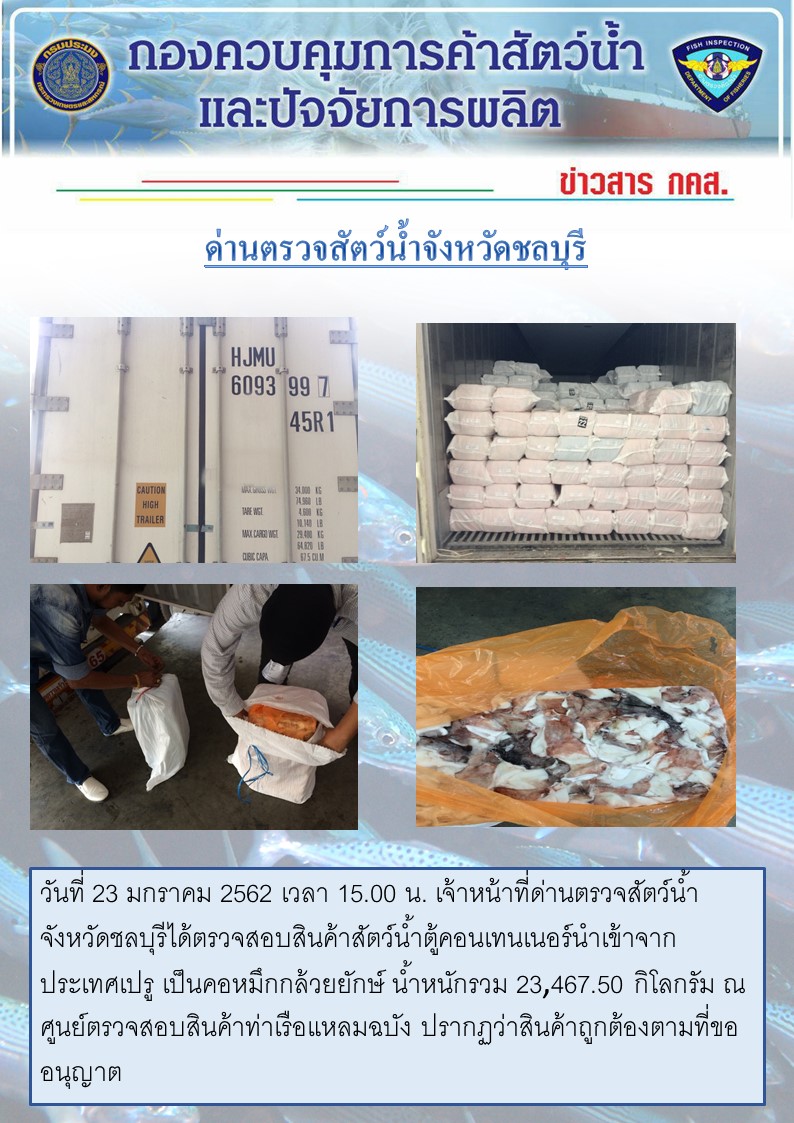 การปฏิบัติงานตรวจสอบสินค้าสัตว์น้ำตู้คอนเทรนเนอร์นำเข้าทางเรือประจำวันที่ 23 มกราคม 2562..คลิก