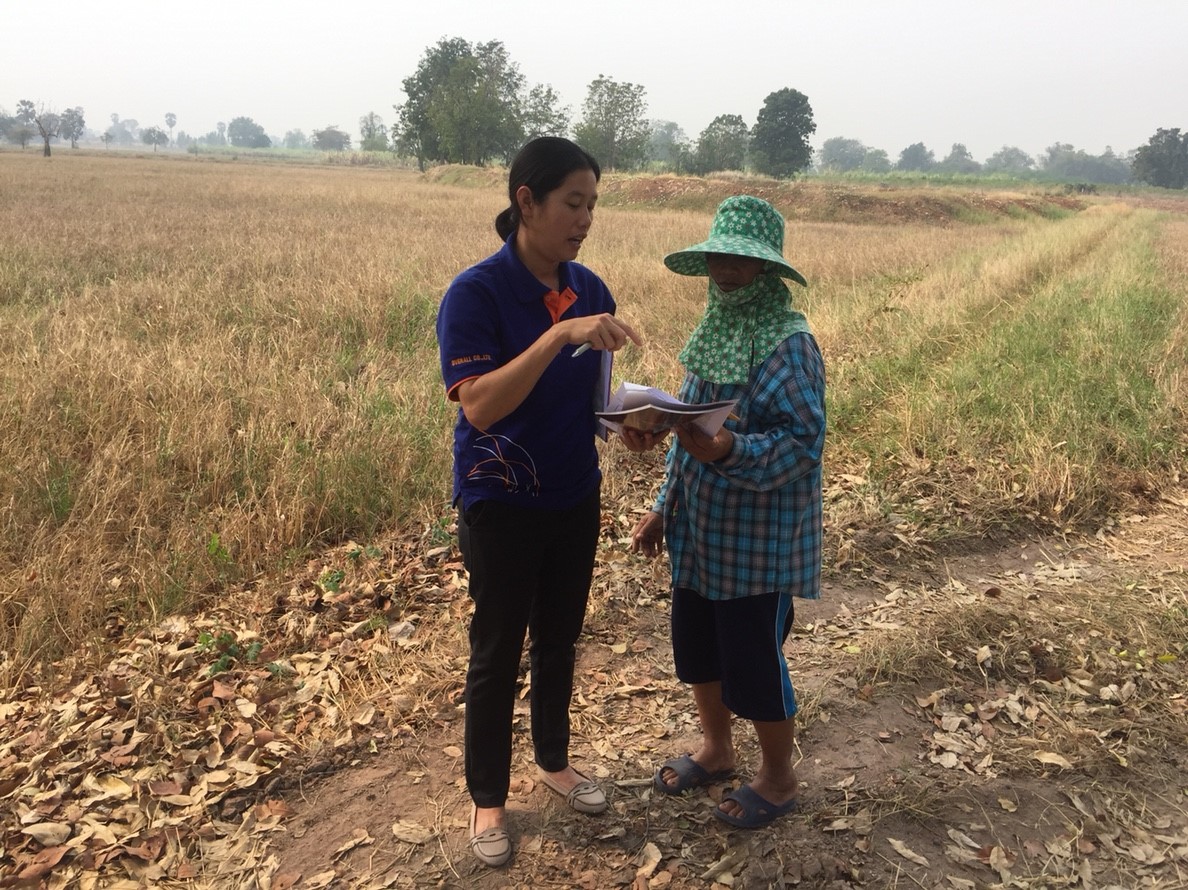 เจ้าหน้าที่ลงพื้นที่ให้ความรู้กับเกษตรกรที่เข้าร่วมโครงการบริหารจัดการพื้นที่เกษตรตามแผนที่การเกษตรเชิงรุก(Zoning by Aqri-map)