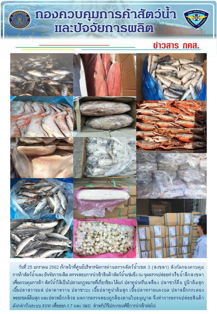 เจ้าหน้าที่ศูนย์บริหารจัดการด่านตรวจสัตว์น้ำเขต 3 (สงขลา) สังกัดกองควบคุมการค้าสัตว์น้ำและปัจจัยการผลิต ตรวจสอบการนำเข้าสินค้าสัตว์น้ำประเภทตู้คอนเทนเนอร์ ณ จุดตรวจปล่อยท่าเรือน้ำลึกสงขลา..คลิก