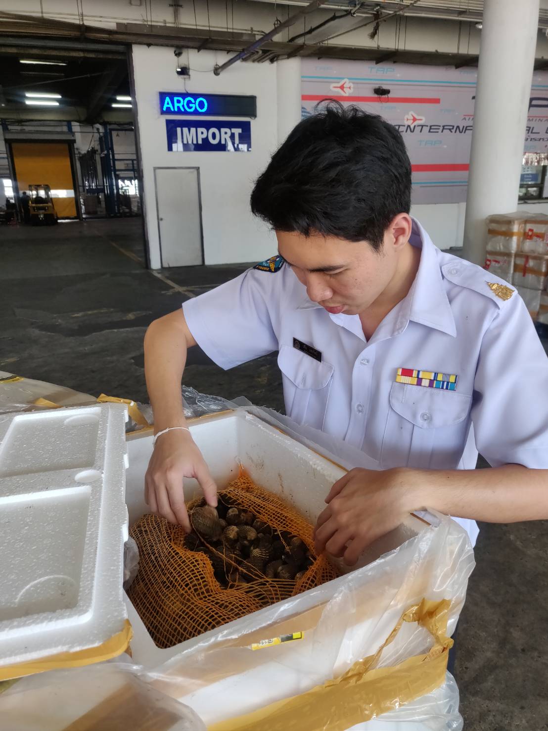 ด่านตรวจสัตว์นำ้ท่าอากาศยานดอนเมือง ตรวจสอบสินค้าสัตว์นำ้นำเข้า..คลิก